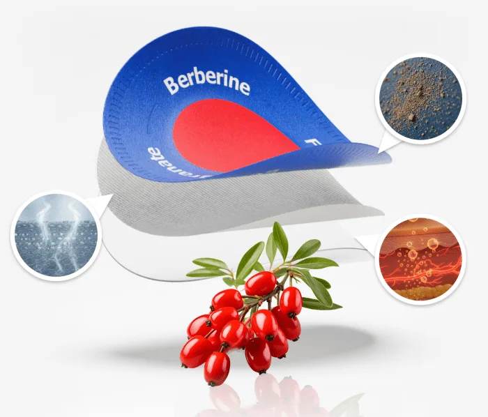 Purisaki Berberine Patch — Effortless All Day Blood Sugar Support USA